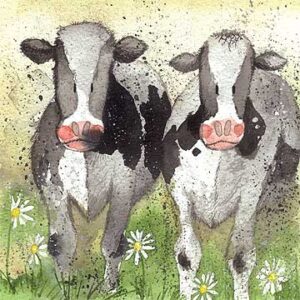Curious Cows