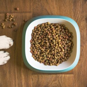 Dog Food