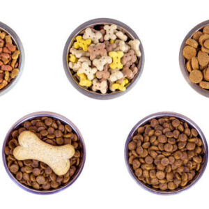 Cat Food