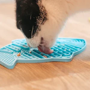 Cat Bowls & Feeders