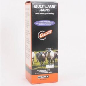 Collate Multi-Lamb Rapid