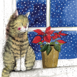 By the Window