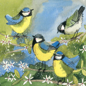 Great Tits Garden Bird Blank Card (Square)