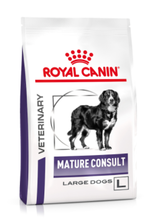 Mature-alrge-dog.webp