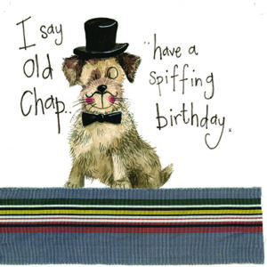 Posh Paws Border Terrier dog Birthday Card