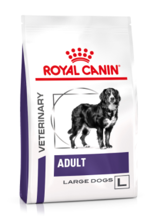 RC-canine-adult-large-dog.webp