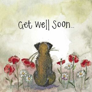 Starlight Border and Poppies Get Well Soon Card