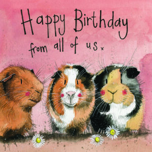 The Three Guinea Pig Birthday Card