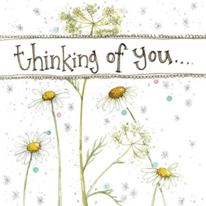 little Thinking Of You Daisy Card
