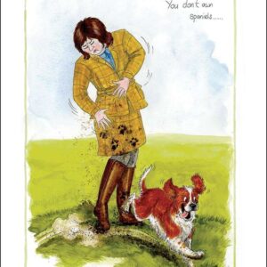 YOU DON'T OWN SPANIELS