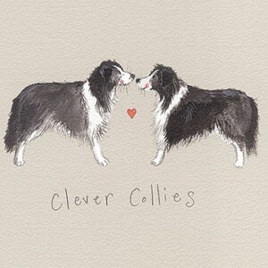 Clever Collies
