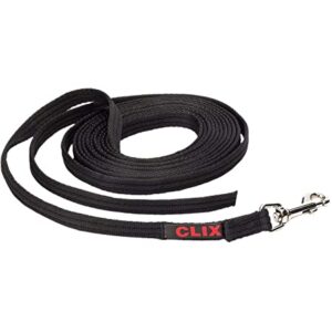 Clix Recall Training Lead