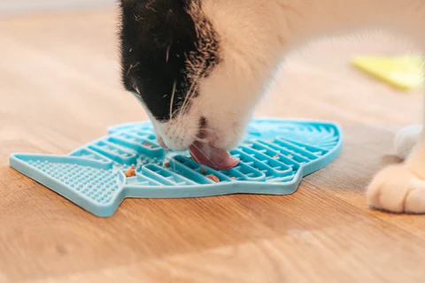 licki.webp