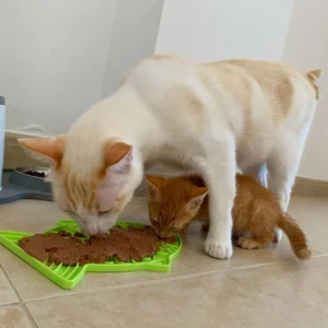 LickiMat Felix