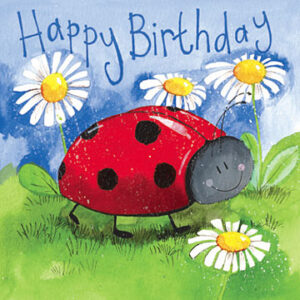 Little Ladybird