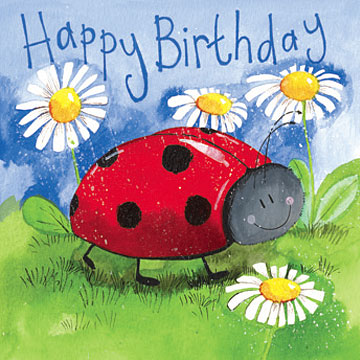 little-ladybird.jpg