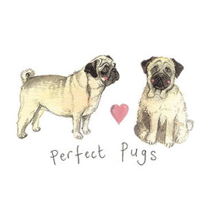 Perfect Pugs