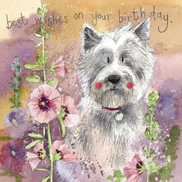 westie-BIRTHDAY.jpg