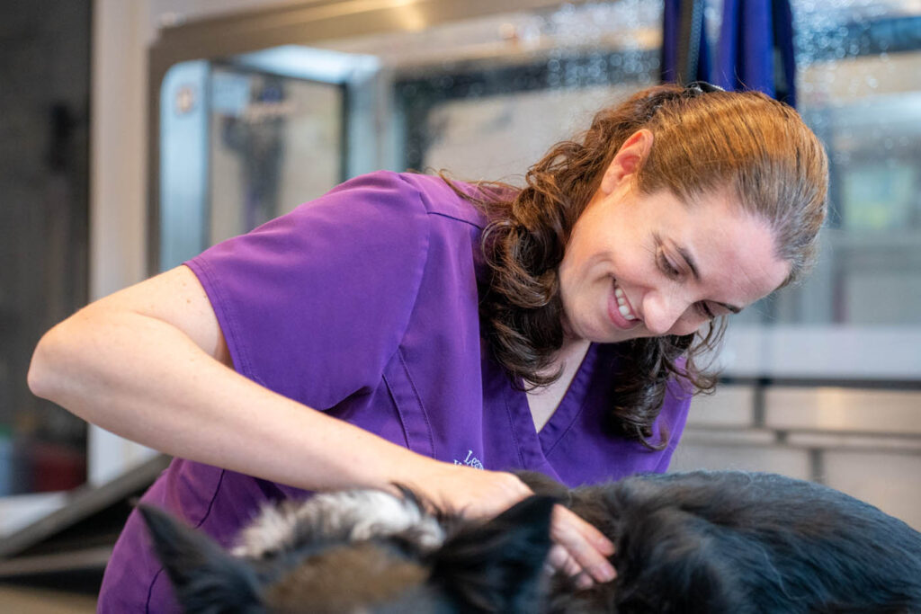 Oakhill Veterinary Group (Web) 027